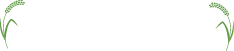 原木まいたけの1年